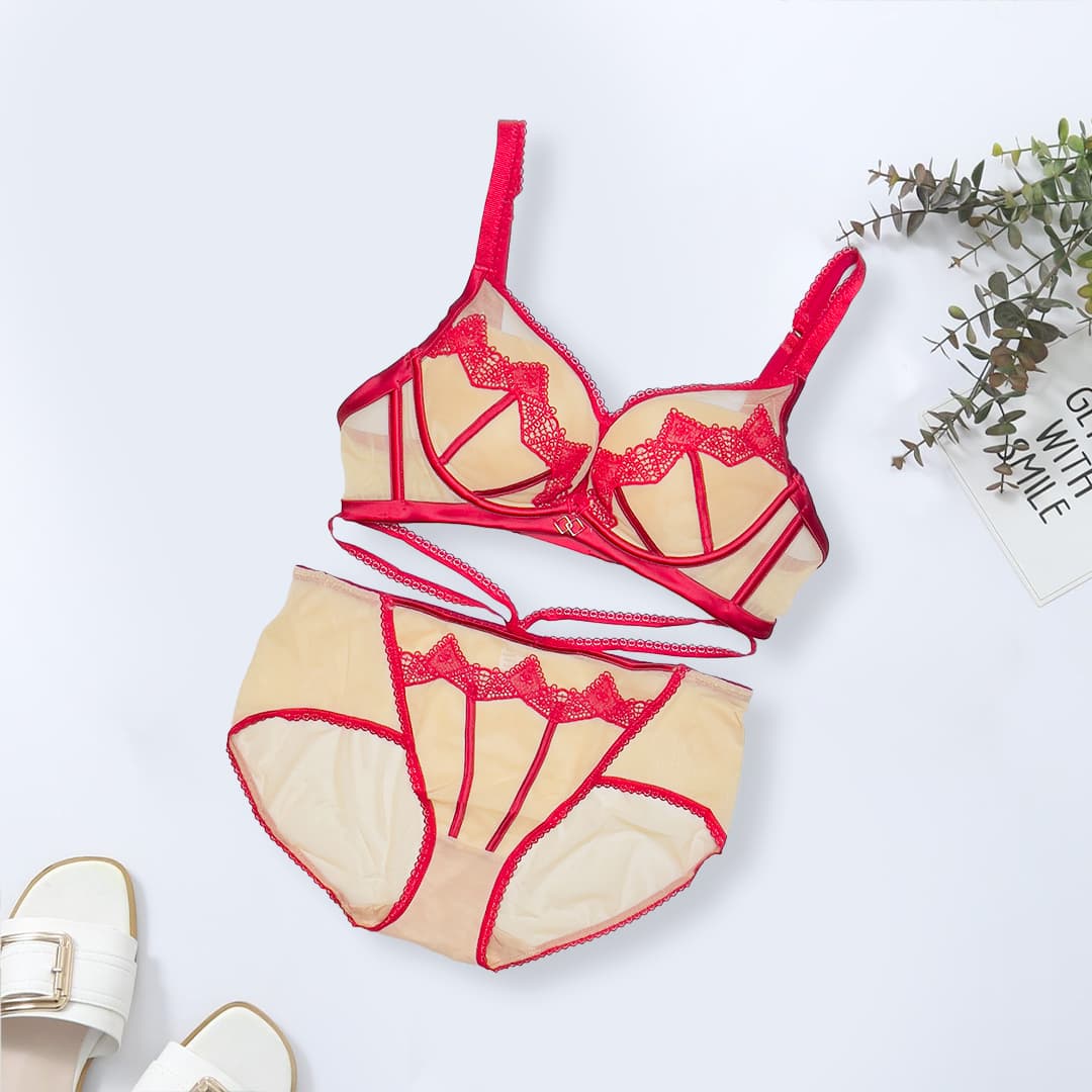 Net & Embroidered Push-Up Bra Set, product photograph.